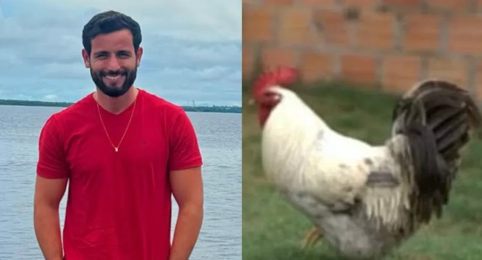 Matteus, do BBB 24, dá detalhes sobre furto de seu galo