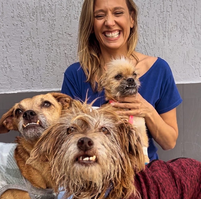 Luísa Mell realiza feira de adoção de animais resgatados no RS