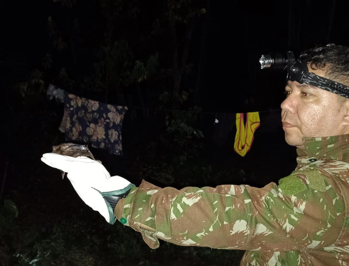 FVS realiza ação de controle de morcegos vampiros no Amazonas