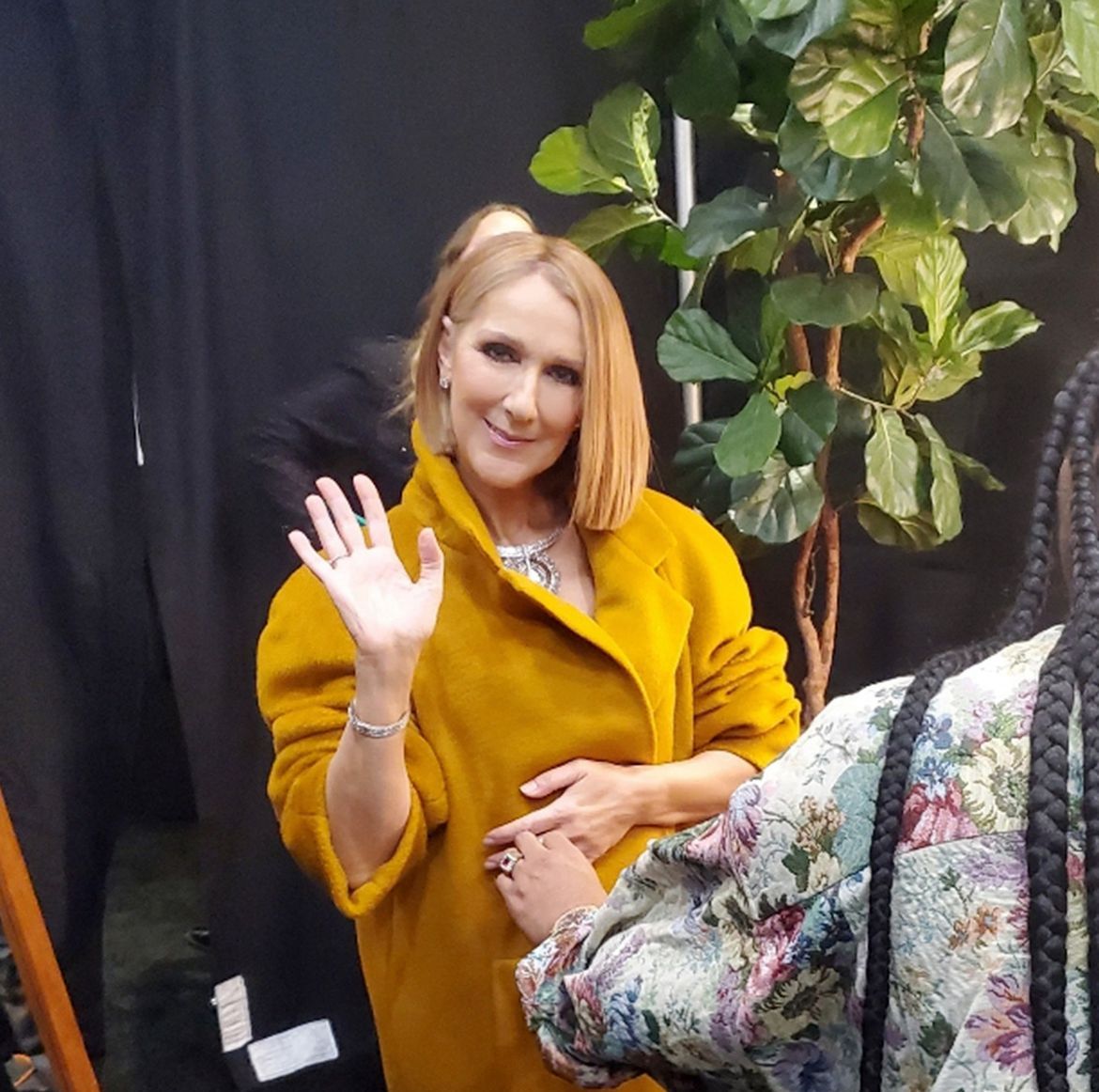 Céline Dion diz que cantar com síndrome rara é como 'ser estrangulada'