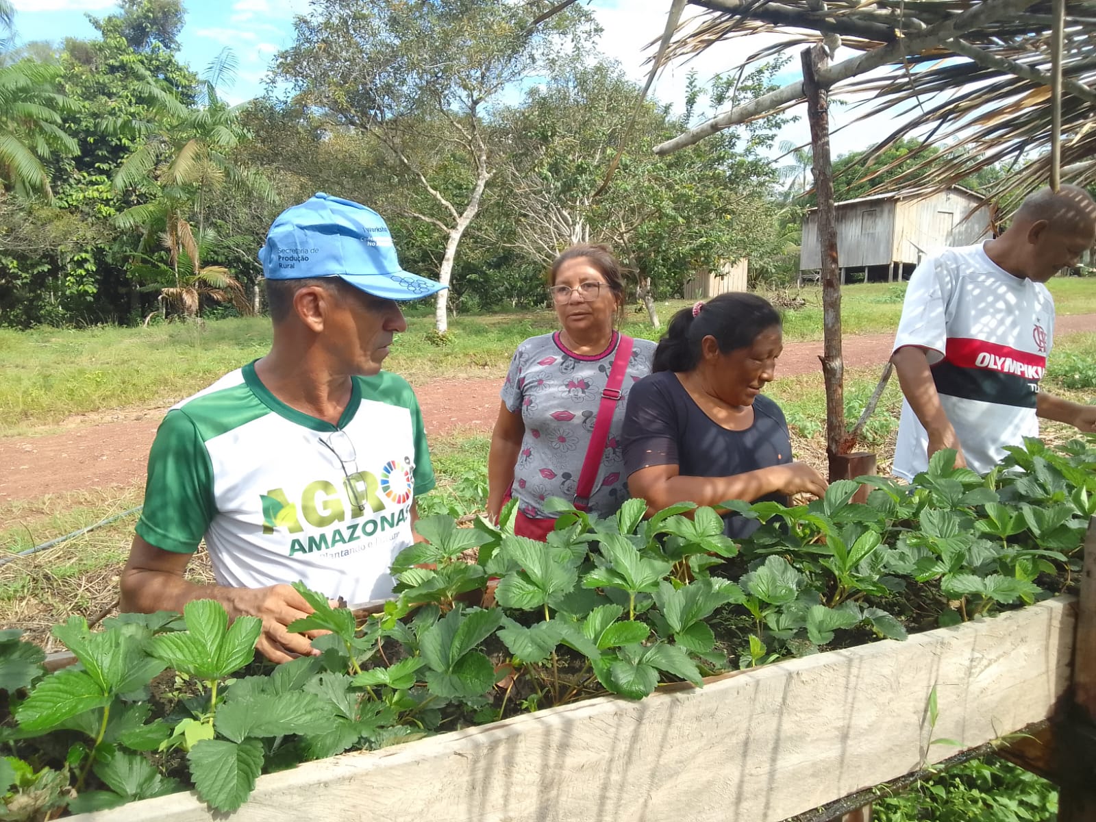 Capacitação viabiliza oportunidade de renda para produtores do Amazonas