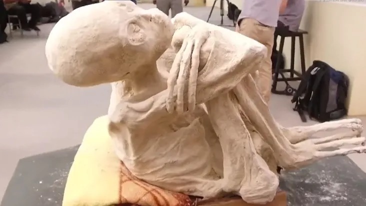Múmias extraterrestres passam por teste de autenticidade de R$ 1,6 bilhão