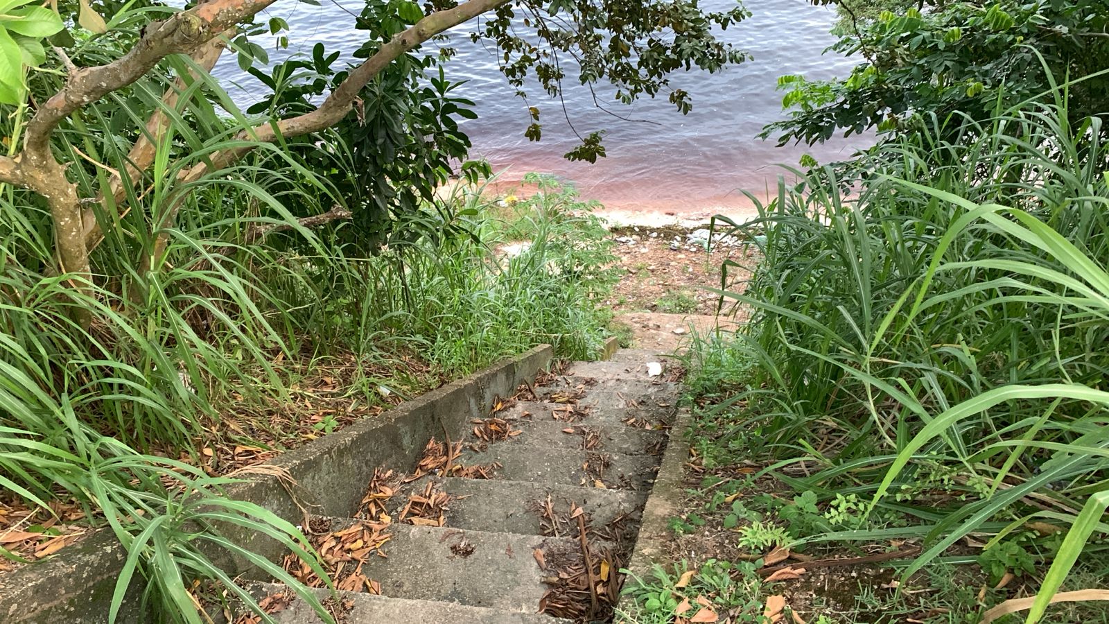 Amazônia perdeu 3,3 mi de hectares em superfície de água