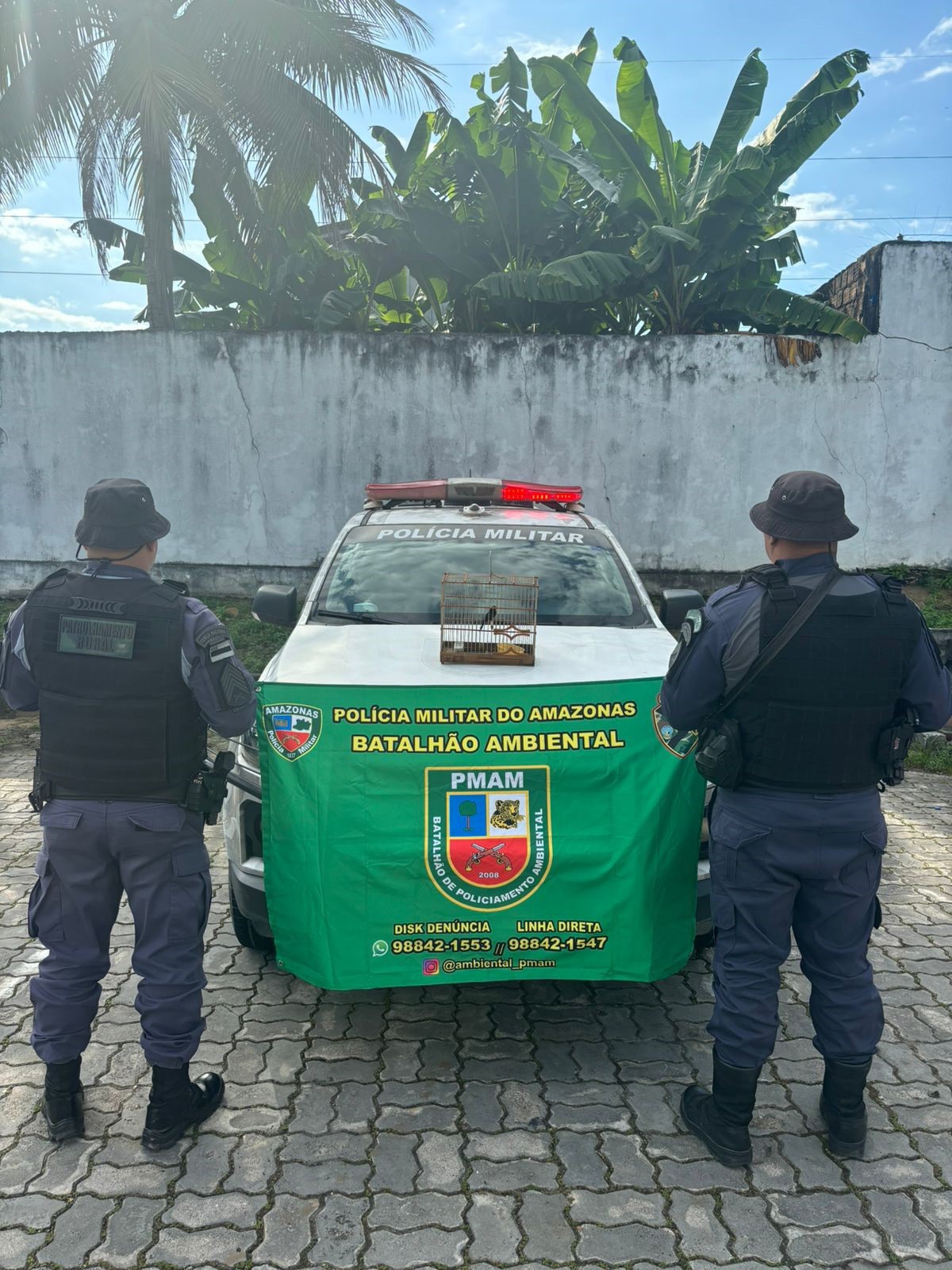 Homem é preso por ter pássaro silvestre com licença ambiental vencida em Manaus