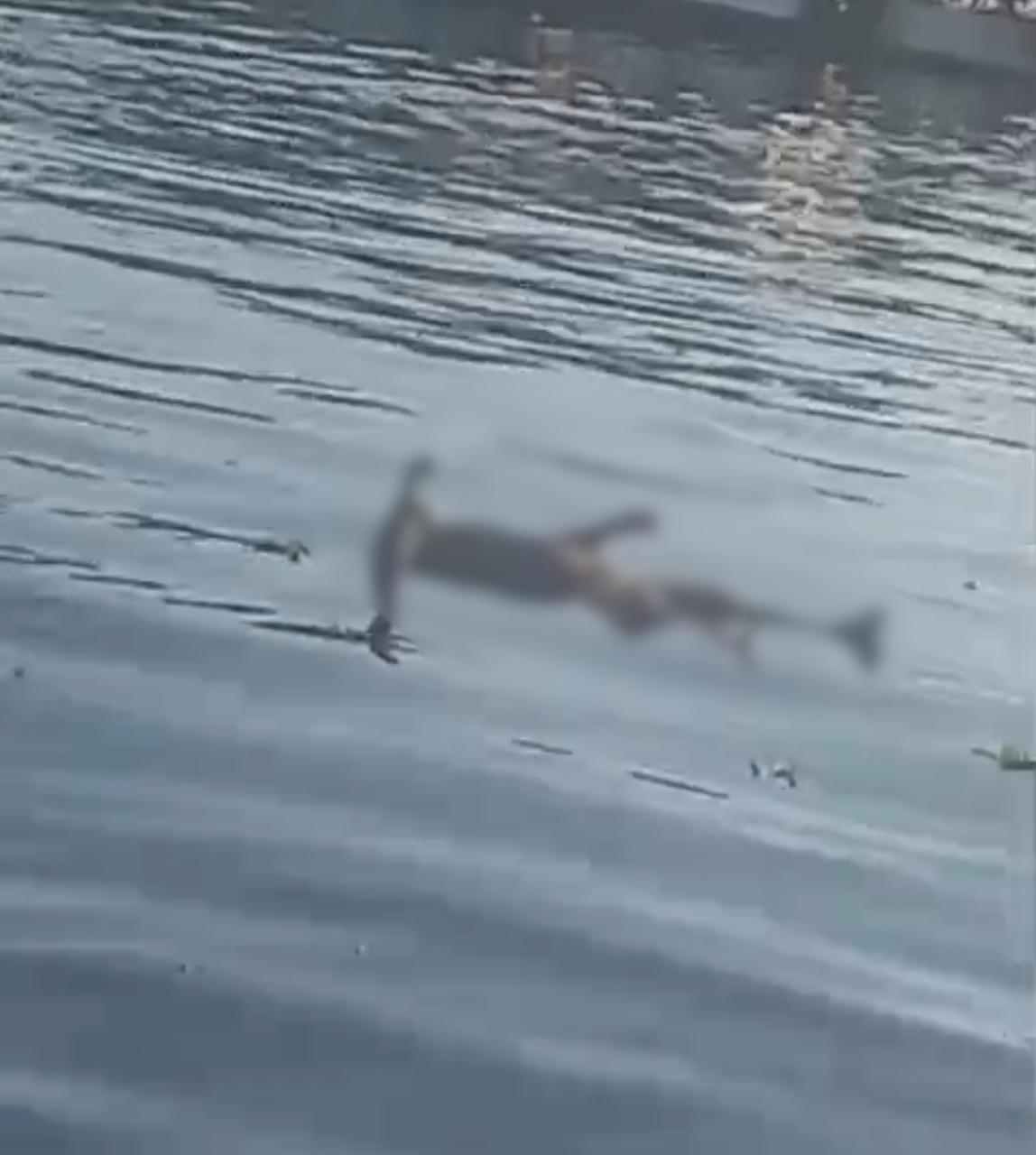 Pescadores encontram cadáver boiando no Rio Negro em Manaus