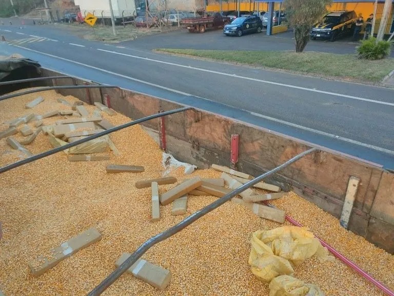 PRF apreende mais de 5 toneladas de maconha escondidas em carga de milho