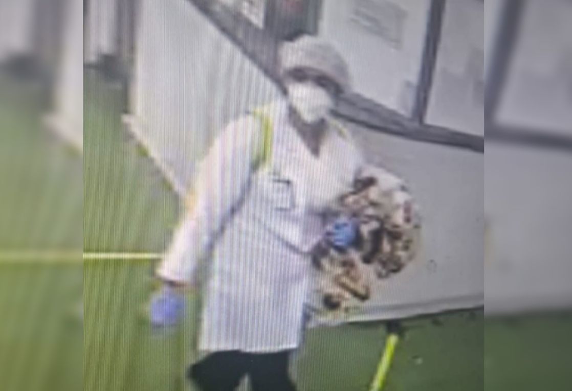 Recém-nascida é sequestrada por falsa médica em Uberlândia 