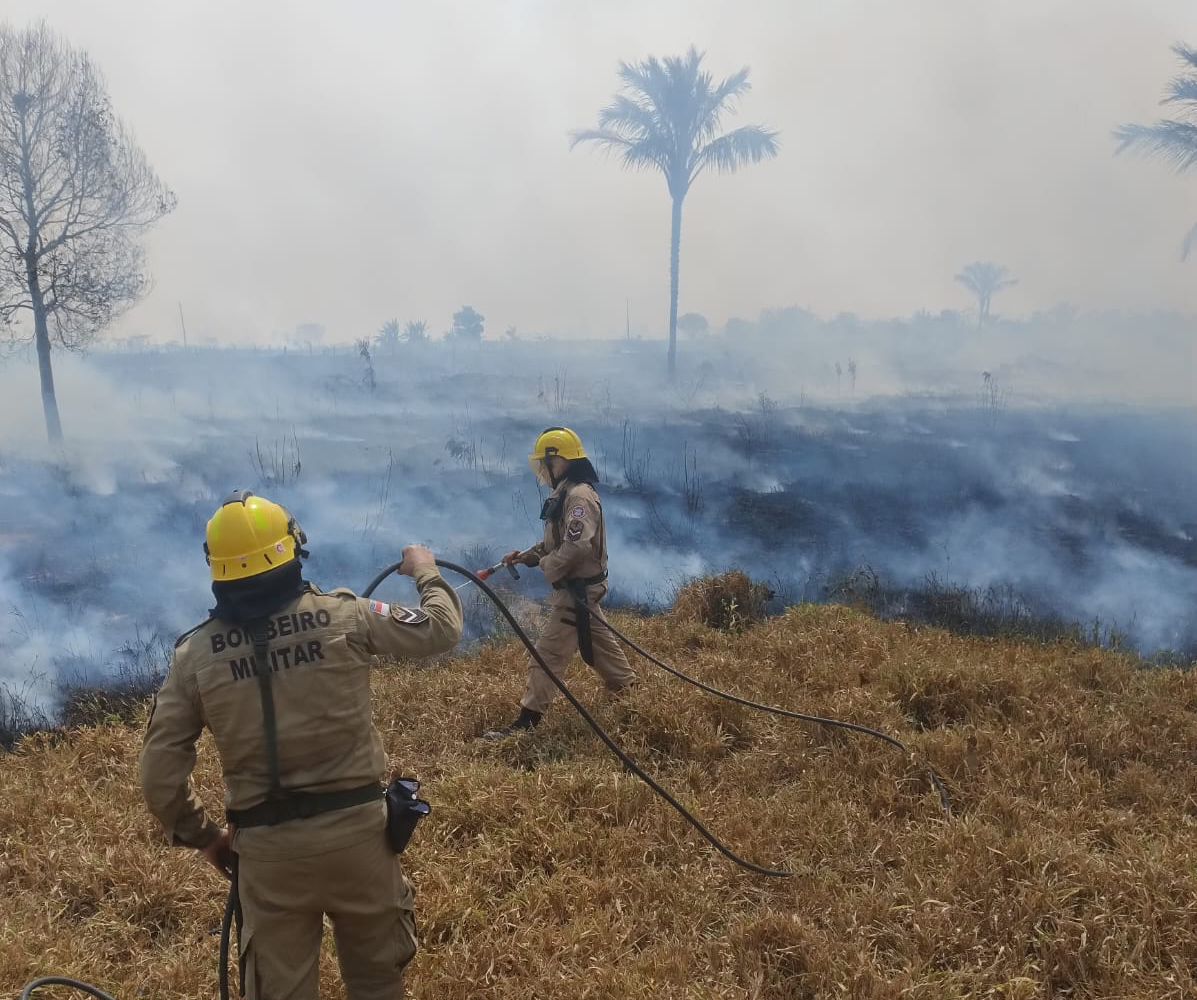 Incêndio se propaga e devasta área de pasto no Amazonas 