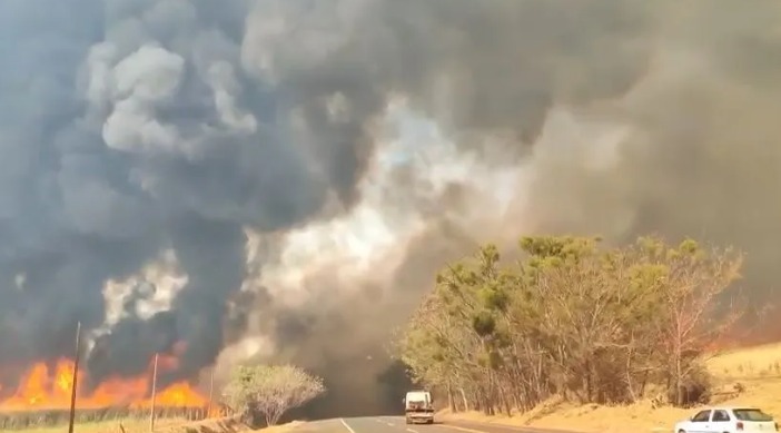 Quase 50 cidades de SP estão com alerta para queimadas