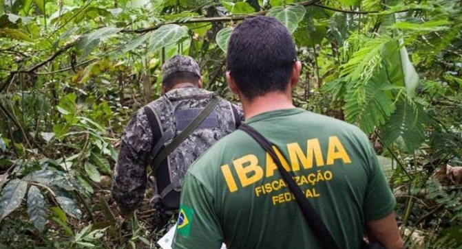 Ministério autoriza concursos do Ibama e ICMBio com mais de 800 vagas