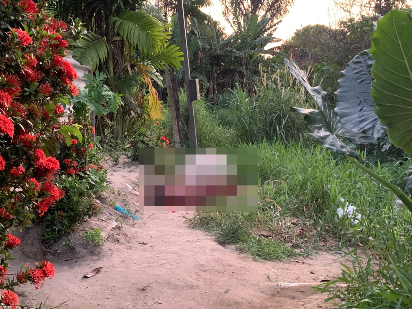 Homem tem crânio esmagado após ser espancado até a morte em Manaus