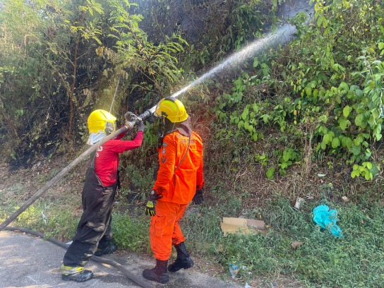 Incêndio atinge área de mata do Inpa 