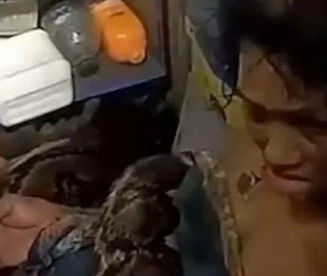 Idosa passa horas enrolada por cobra gigante e é salva na Tailândia