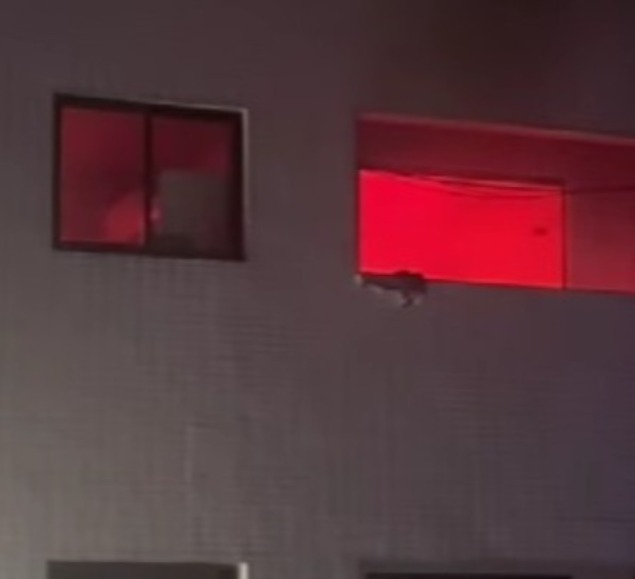 Panela esquecida no fogão causa incêndio em apartamento