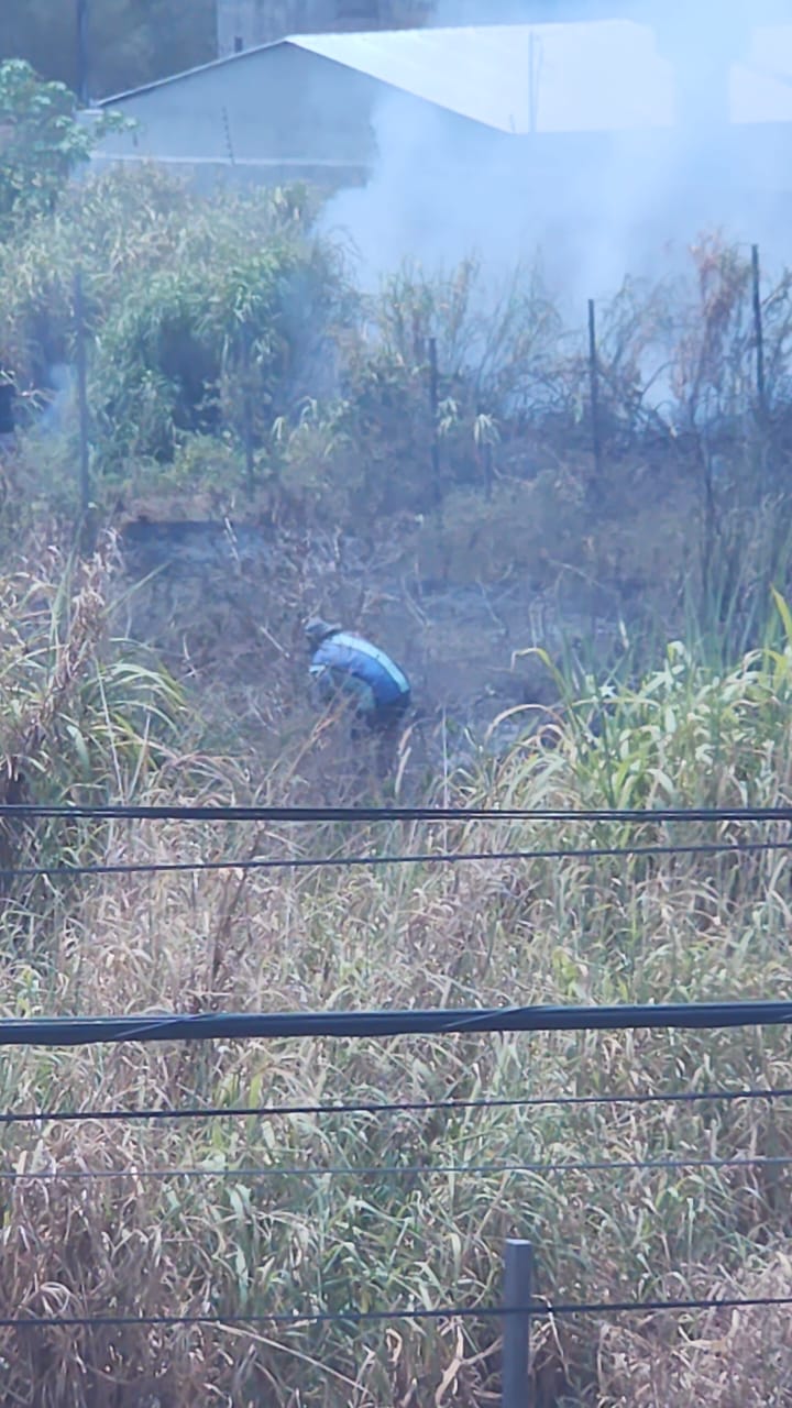 Homem é preso ao ser flagrado incendiando mata no Parque 10