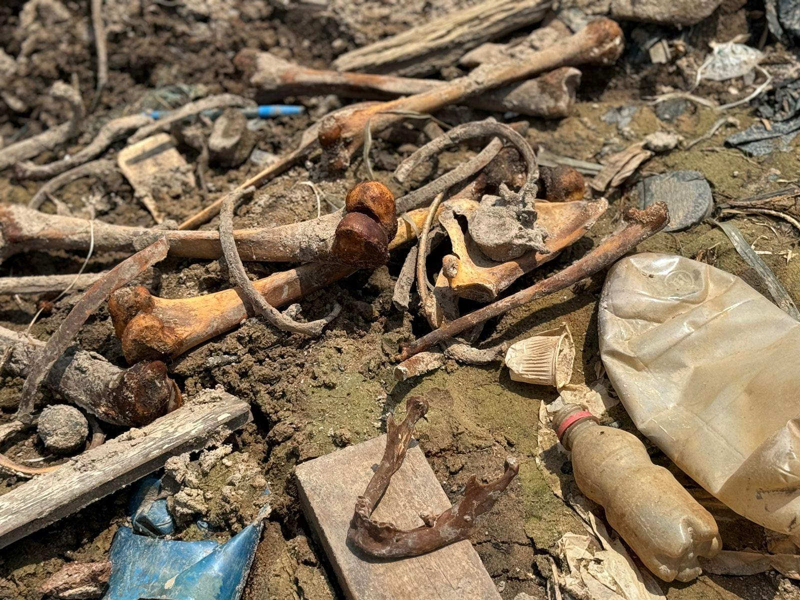 Ossada humana é encontrada na Feira da Panair