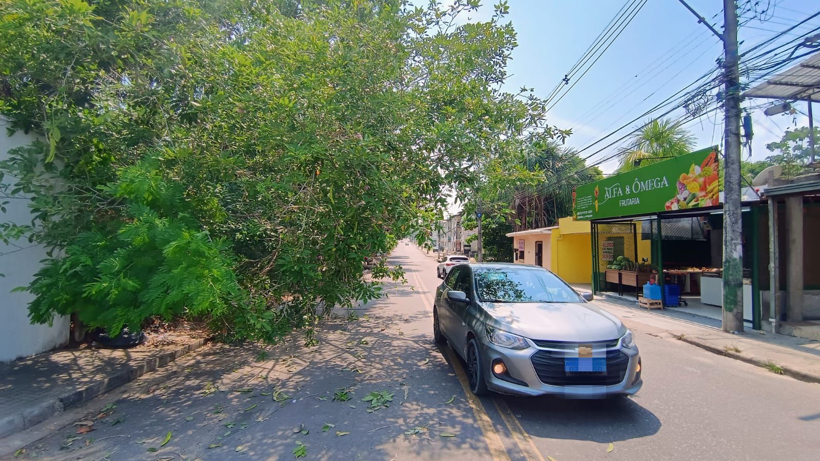 Árvore tomba e bloqueia parcialmente rua no bairro de Flores