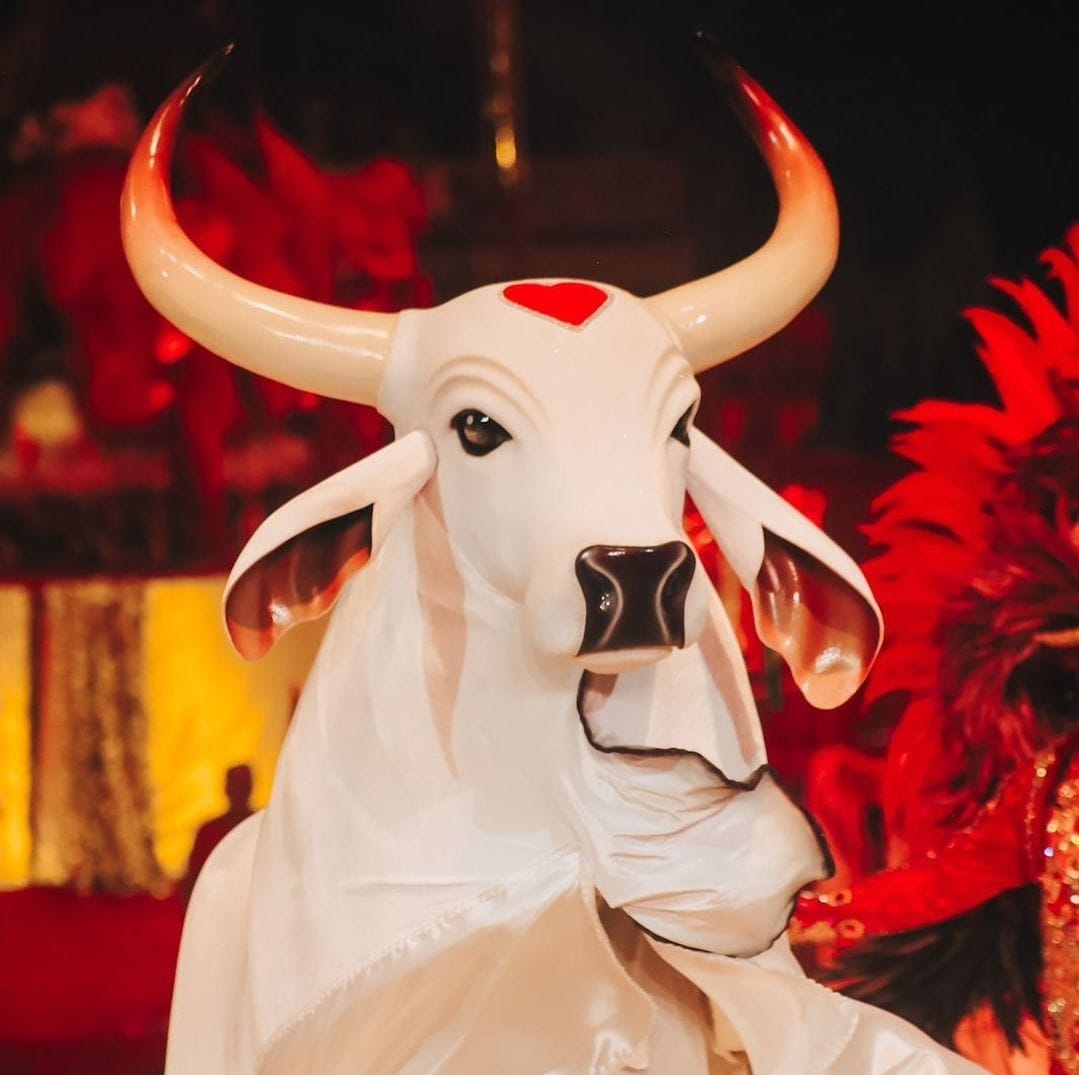 Movimento Amigos do Garantido elege nova diretoria neste domingo