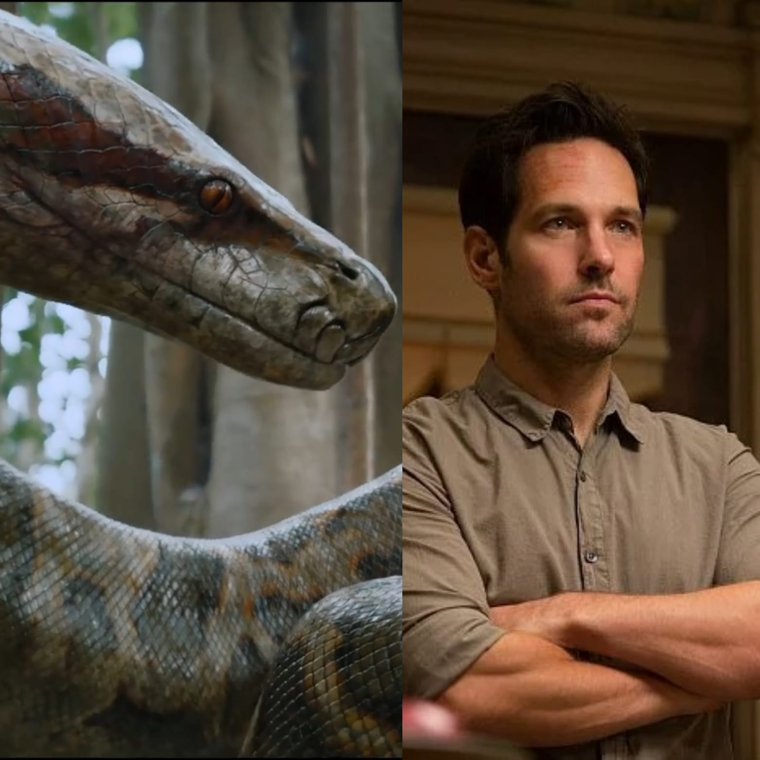 Com Paul Rudd e Jack Black, Anaconda vai ganhar nova versão