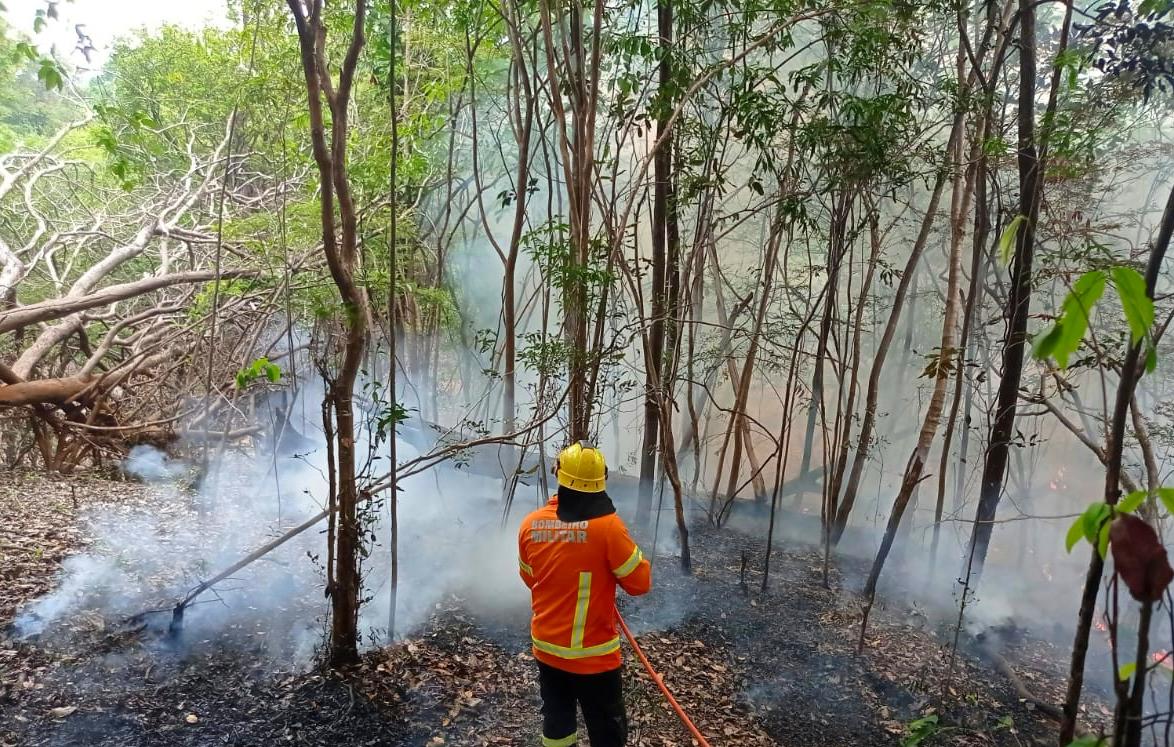 Amazonas teve mais de 6,6 mil focos de incêndio em setembro