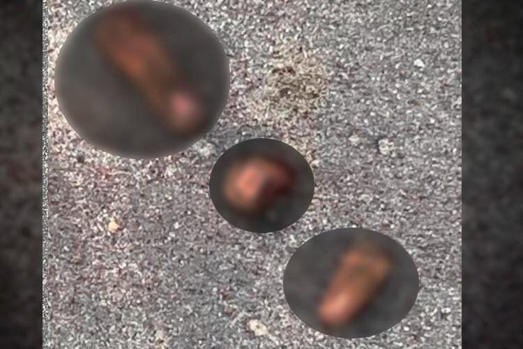 Cena macabra: Dedos humanos são encontrados na rua em Manaus