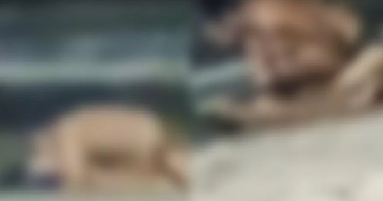Candidato a delegado é afastado após ser filmado fazendo sexo na praia