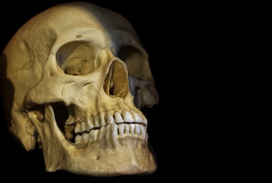 Crânio humano é encontrado em comunidade no Amazonas