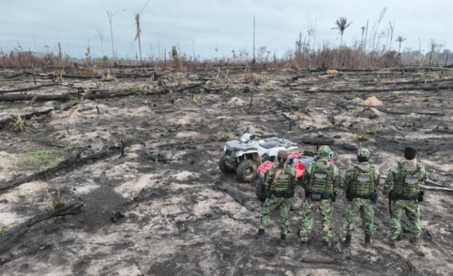 MPF denuncia acusados por crimes ambientais em Boca do Acre 