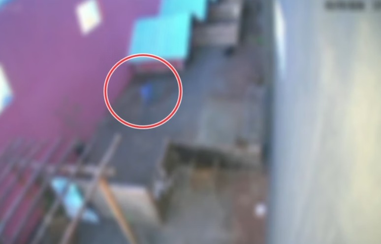 Criança de 9 anos visitou hospital veterinário um dia antes do 'massacre'