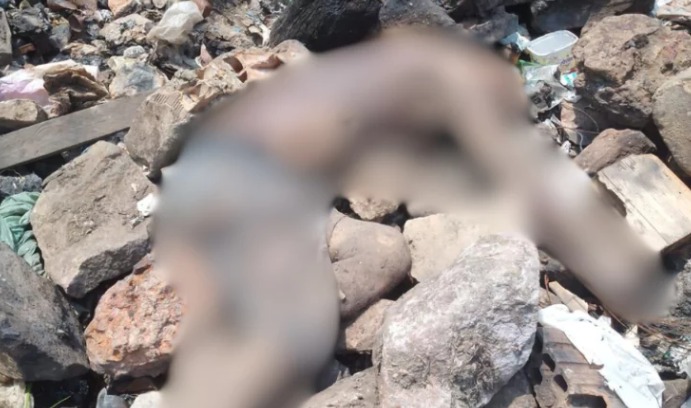 Corpo de homem é desovado em lixão em Manacapuru 