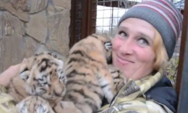 Cuidadora é morta por leões em parque de safári 