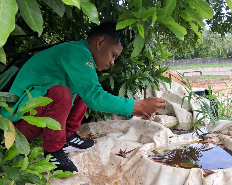 Amazonas registra cinco mortes por dengue 