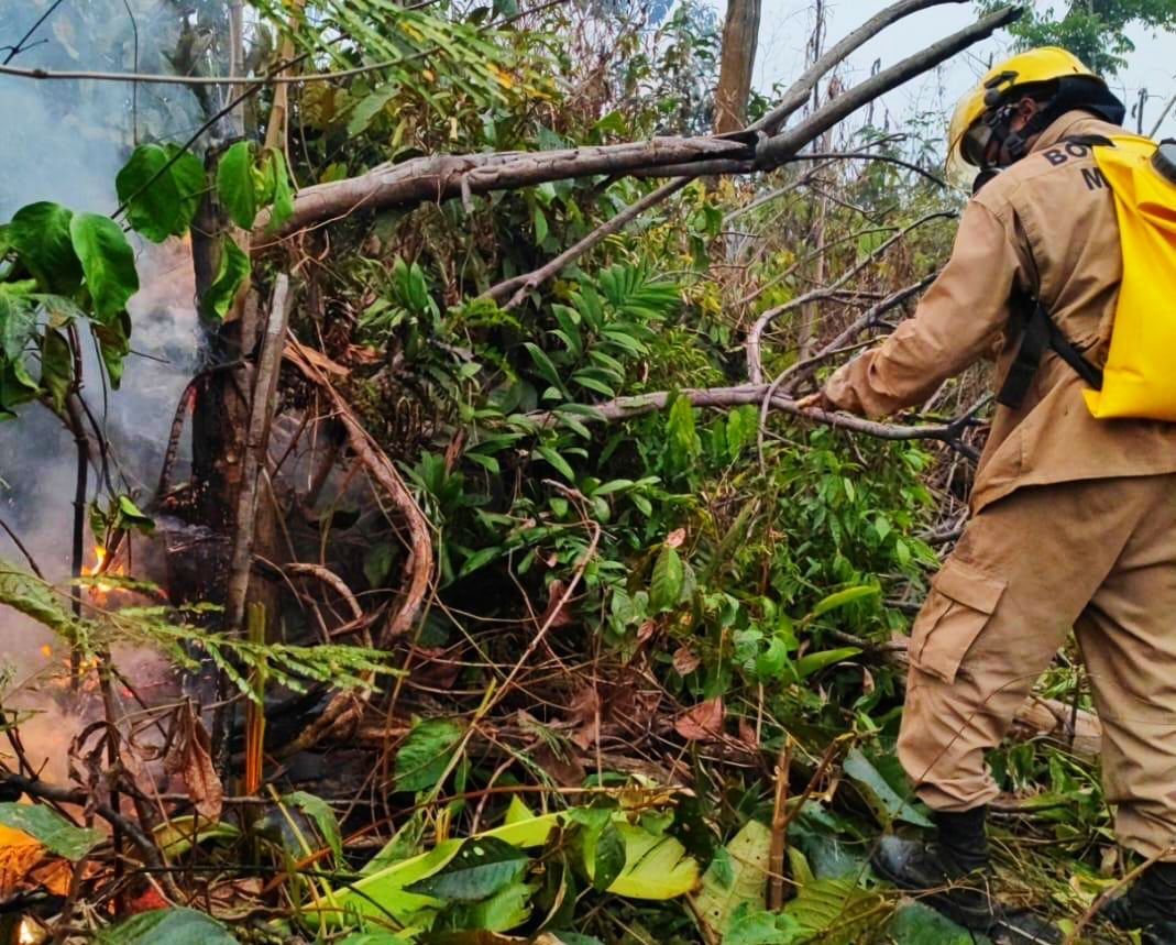 Incêndio destrói área de vegetação na Comunidade Parque das Tribos