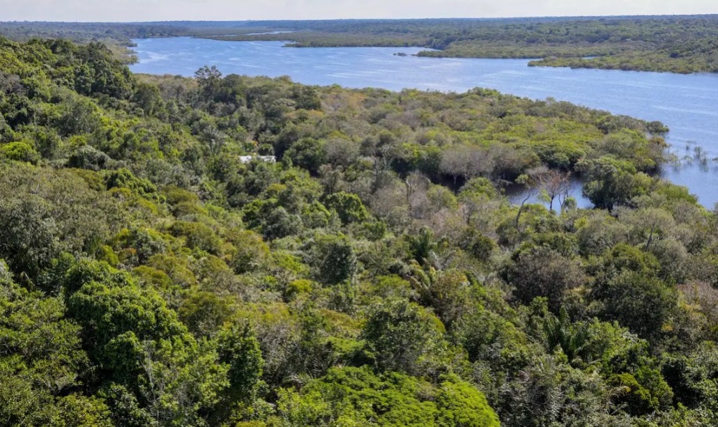 Desmatamento na Amazônia cai 30,6% com menor área desmatada desde 2013