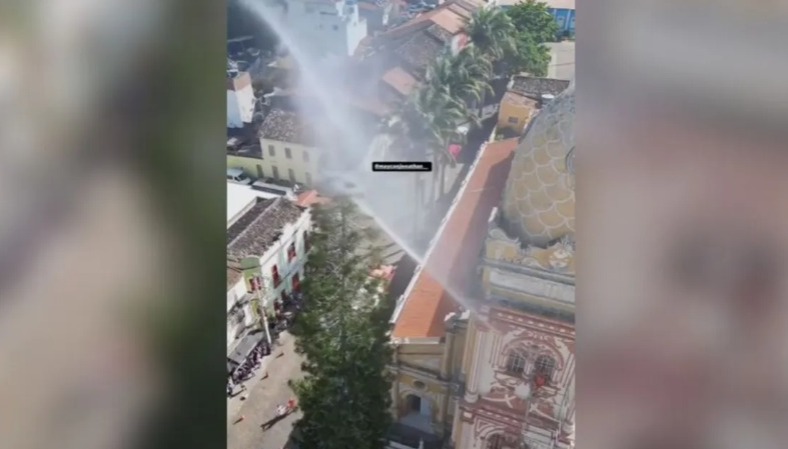 Gato cai de árvore e morre após tentativa de resgate com jato d’água 