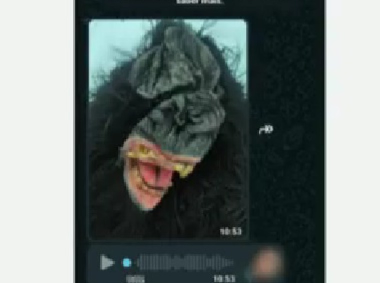 Menina de 11 anos é vítima de racismo em escola: "macaco igualzinho a você"