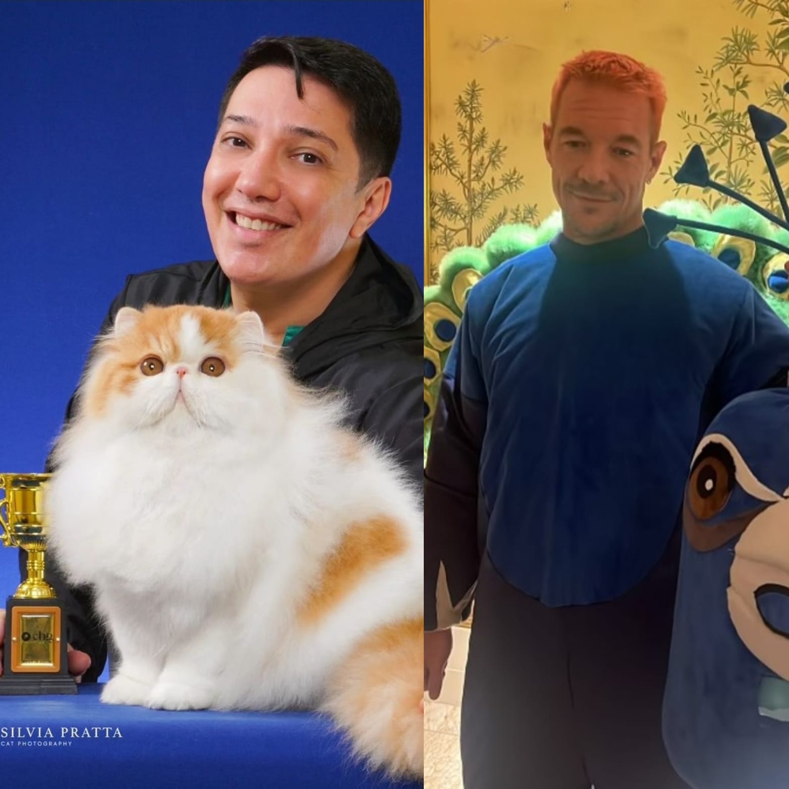 Gato brasileiro ganha prêmio internacional e é homenageado por DJ Diplo