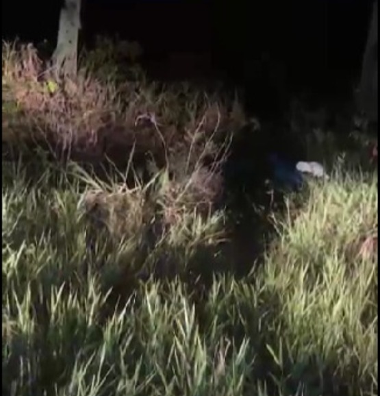 Corpo de homem é encontrado em área de mata na AM-010 