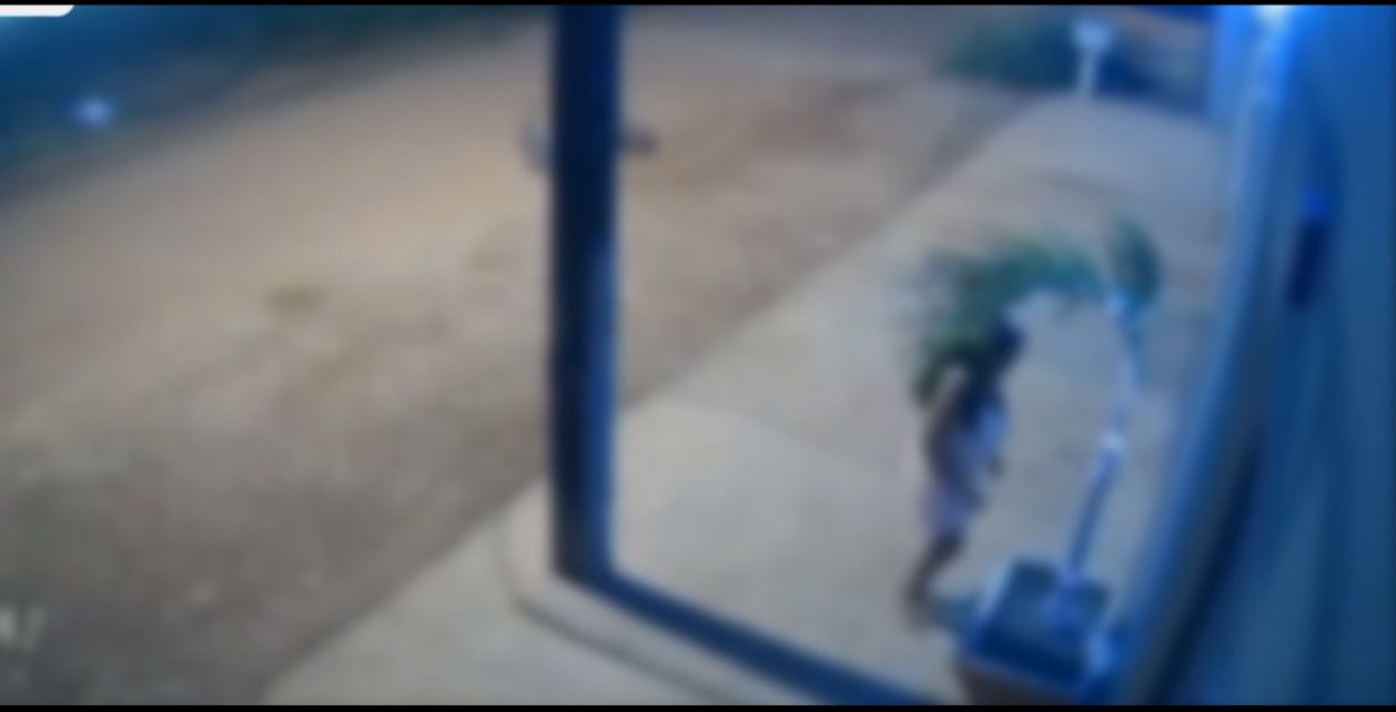 Mulher é flagrada furtando decoração natalina 