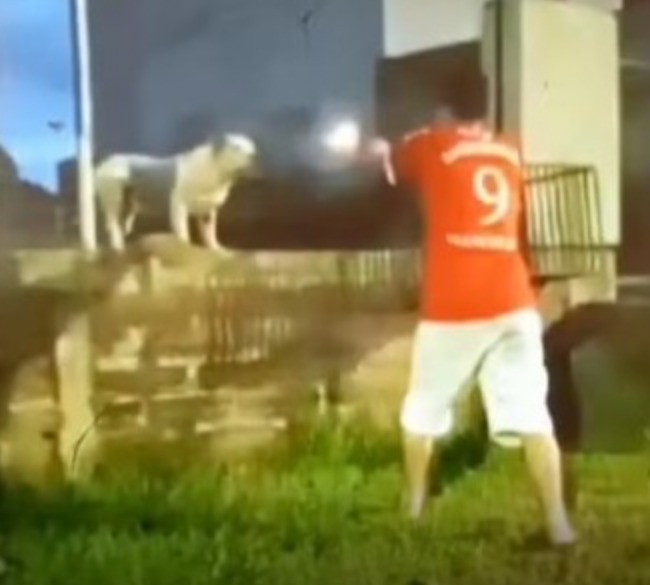 Jovem atira contra próprio cachorro por não obedecê-lo 