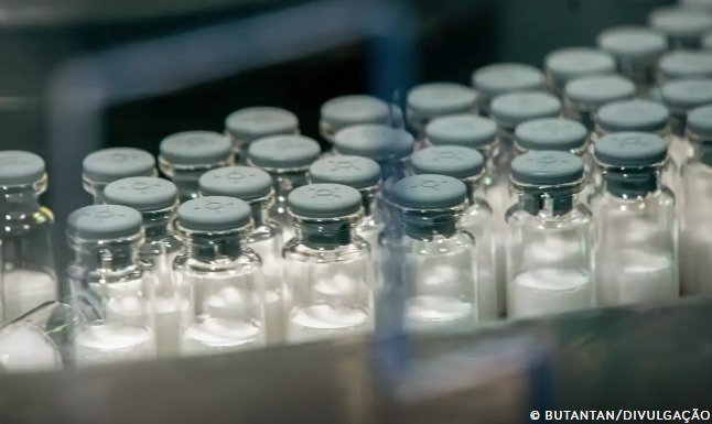 Butantan pede registro de vacina contra dengue para Anvisa