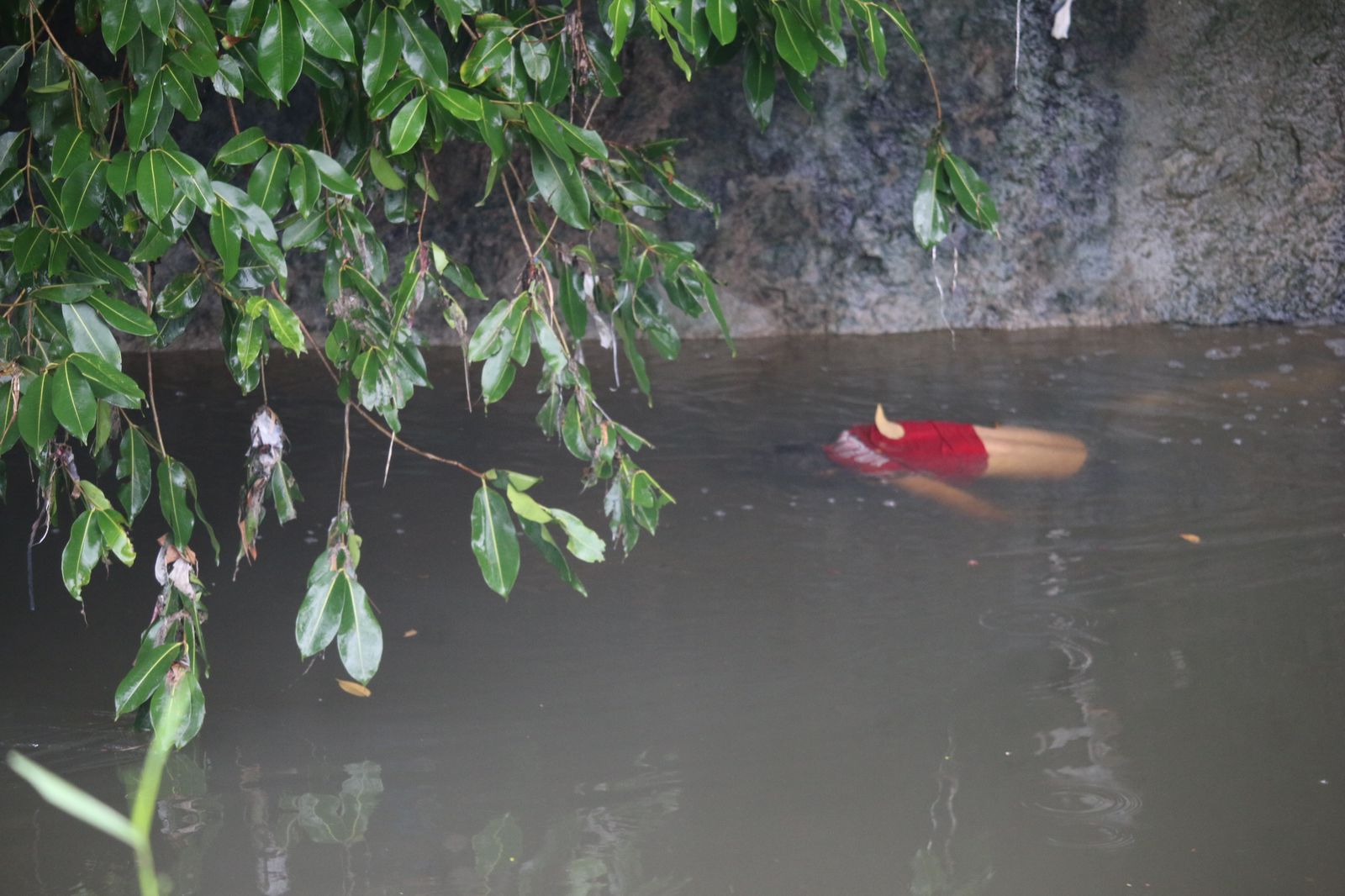 Corpo de homem é achado boiando no Igarapé do Mindu