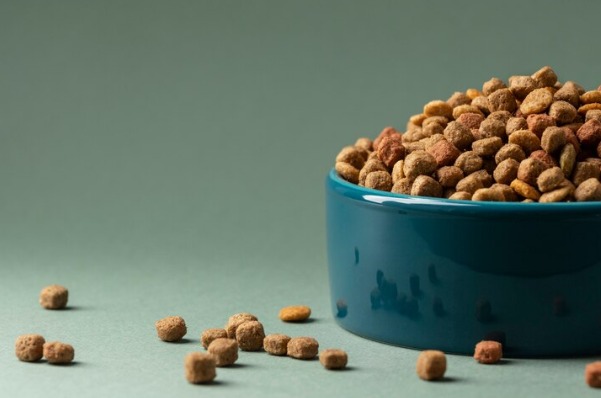 Bebê morre engasgado com ração de cachorro