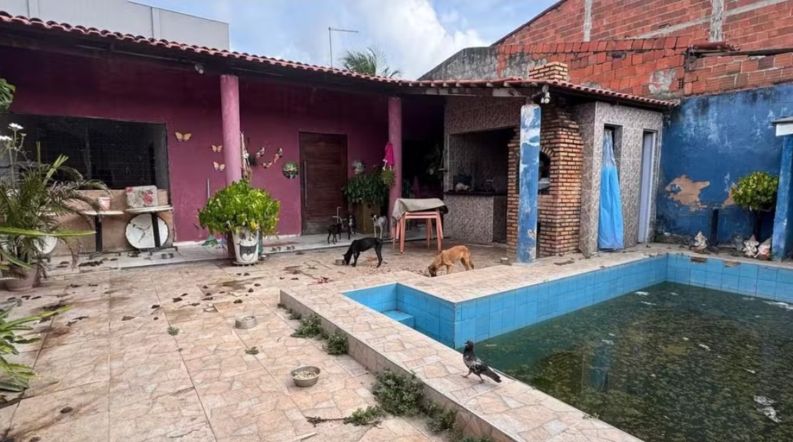 Tutor é preso por deixar seis cães sem água e comida