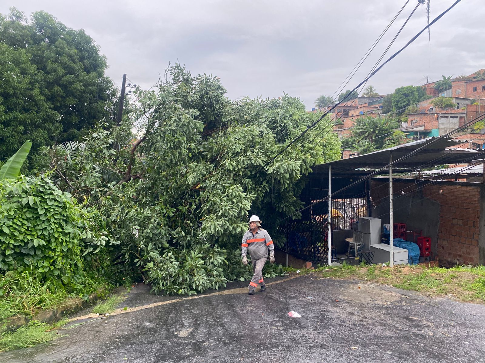 Queda de árvore em rede elétrica deixa moradores assustados durante chuva em Manaus