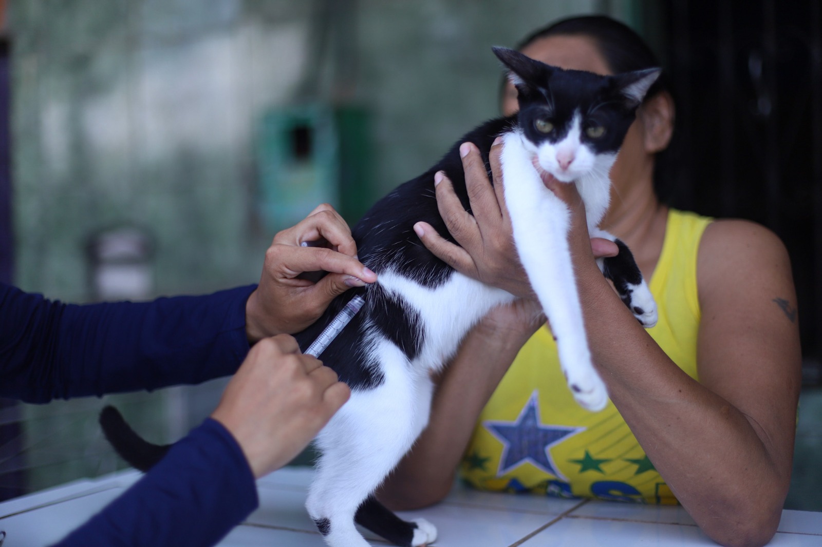  Vacinação para cães e gatos está disponível em 37 pontos de Manaus