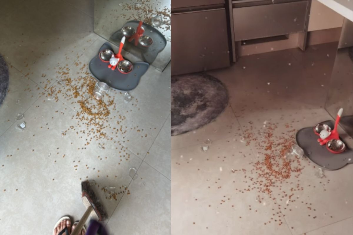 Carolina Dieckmann teve casa invadida por macacos: 'Quebraram tudo'