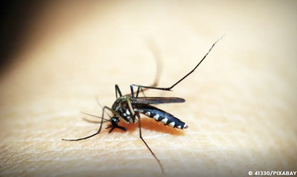 Rio de Janeiro confirma primeira morte por dengue este ano