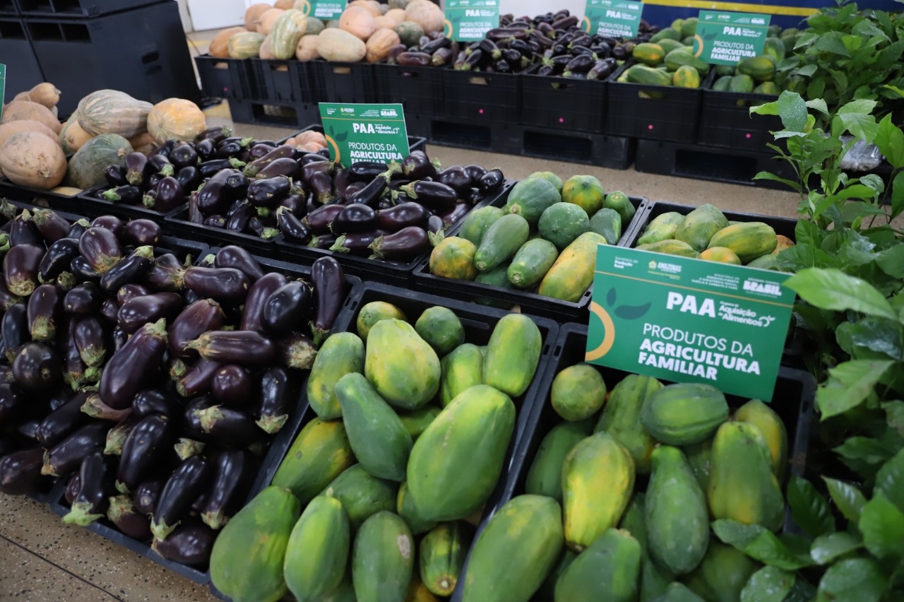 Inscrições para o PAA no Amazonas são prorrogadas 