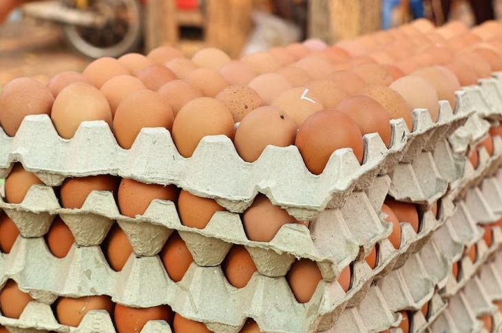 Ovos devem ter data de validade impressa nas cascas a partir de março
